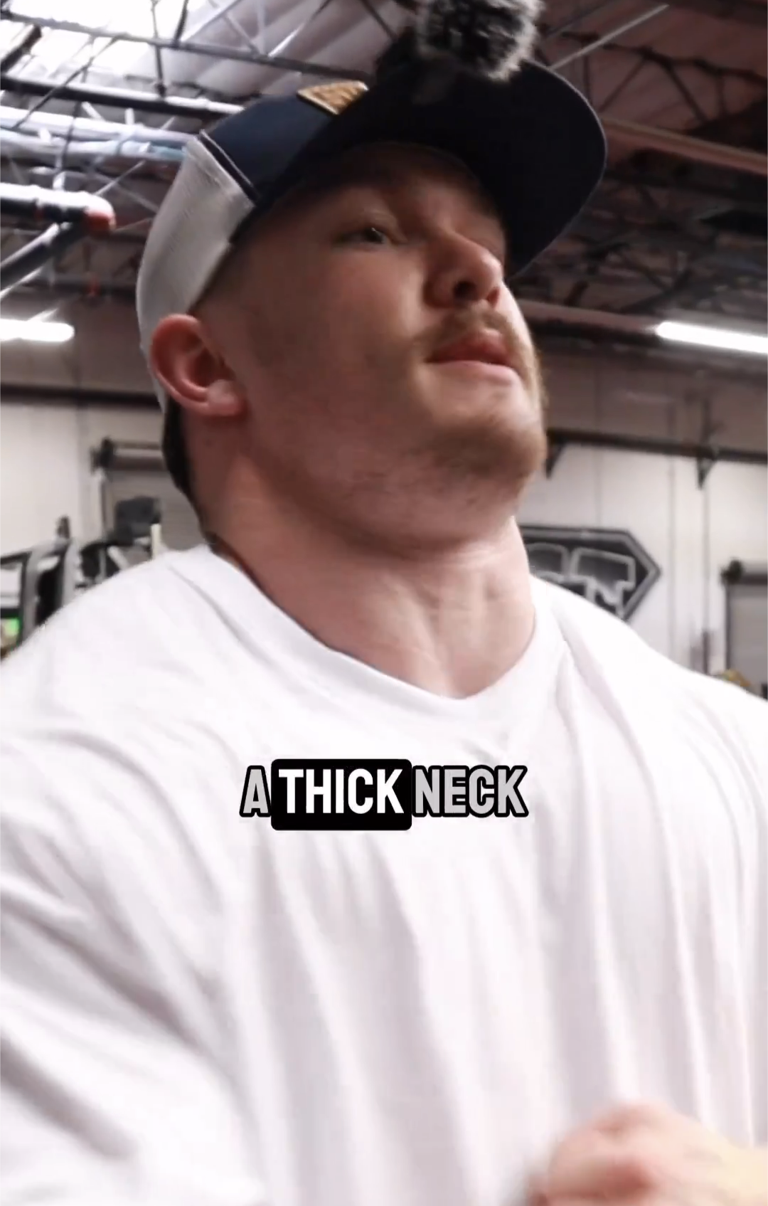 Joe rogan neck trainer 2025