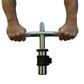 The Strong Arm - Forearm and Wrist Bar